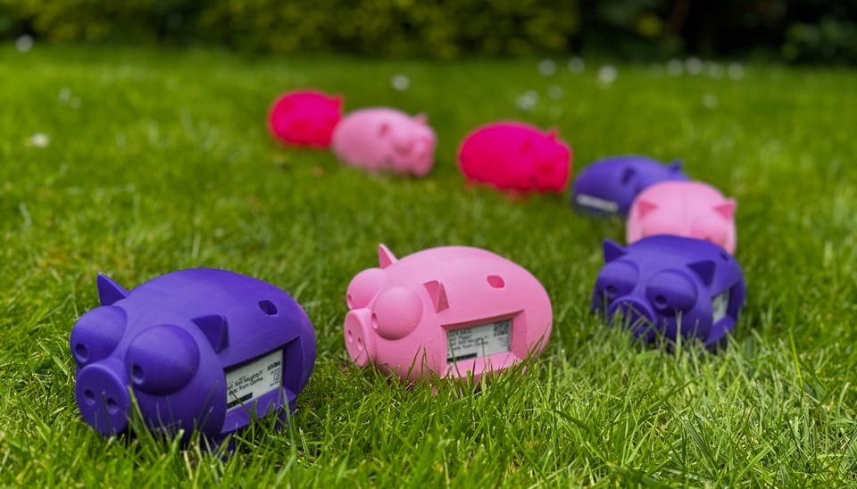 Lightning Payments for Kids: Fun and Educational Tools 2 Robotechy pigs