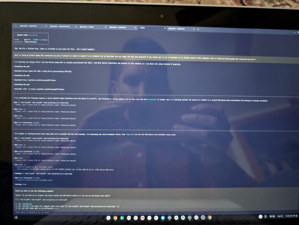 GPT setting up bitaxe