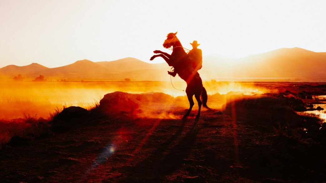 A cowboy on a rearing horse against a stunning sunset in rural Kayseri, Türkiye.