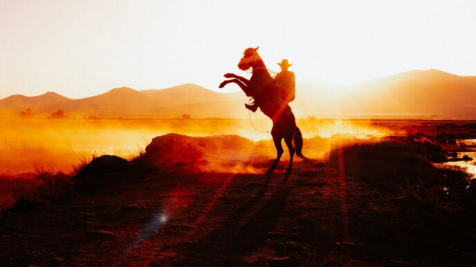A cowboy on a rearing horse against a stunning sunset in rural Kayseri, Türkiye.